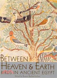 Between Heaven and Earth ─ Birds in Ancient Egypt