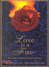 Love Is a Fire—A Sufi's Mystical Journey Home