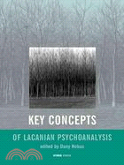 Key Concepts in Lacanian Psychotherapy