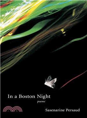 In a Boston Night