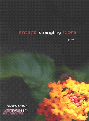 Lantana Strangling Ixora