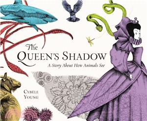 The Queen's Shadow ─ A Story About How Animals See