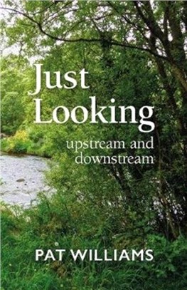 Just Looking：upstream and downstream