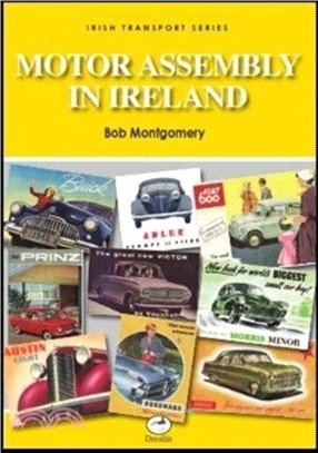 Motor Assembly In Ireland