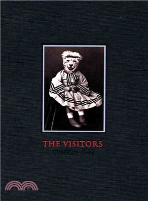 The Visitors