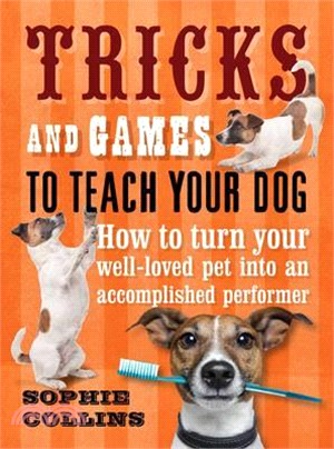 Tricks and Games To Teach Your Dog