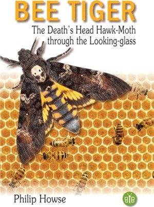 Bee Tiger：The Death's Head Hawk-moth through the Looking-glass