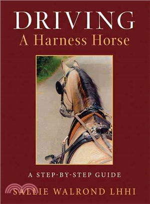 Driving a Harness Horse ― A Step-by-Step Guide