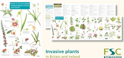 Guide to the non-native invasive plants of Britain and Ireland