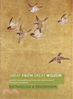 Great Faith, Great Wisdom ― Practice and Awakening in the Pure Land Sutras of Mahayana Buddhism