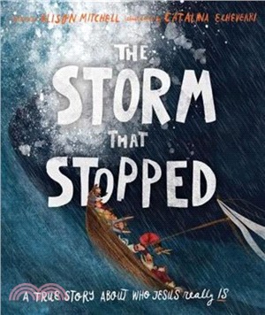 The Storm That Stopped：A true story about who Jesus really is