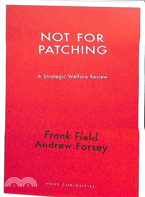 Not for Patching ― A Strategic Welfare Review