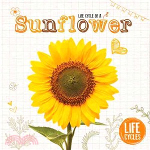 Life Cycle of a Sunflower