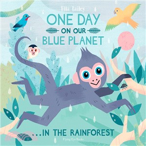 One day on our blue planet ... in the rainforest /