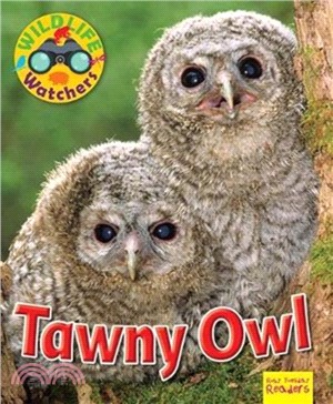 Wildlife Watchers: Tawny Owl