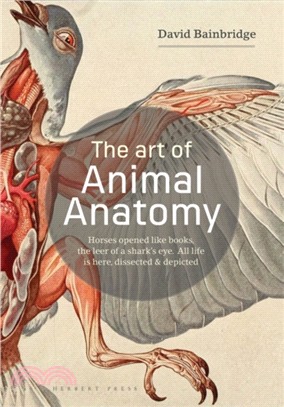 The Art of Animal Anatomy：All life is here, dissected and depicted