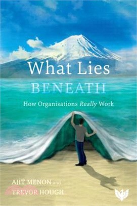 What Lies Beneath: How Organisations Really Work