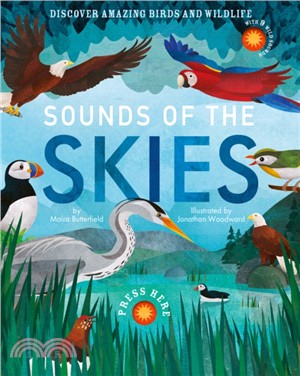 Sounds Of The Skies
