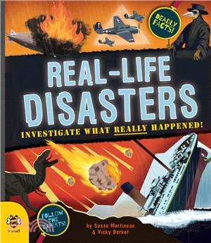 Real-life disasters :investigate what really happened! /