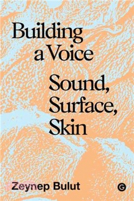 Building a Voice：Sound, Surface, Skin