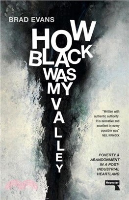 How Black Was My Valley：Poverty and Abandonment in a Post-Industrial Heartland