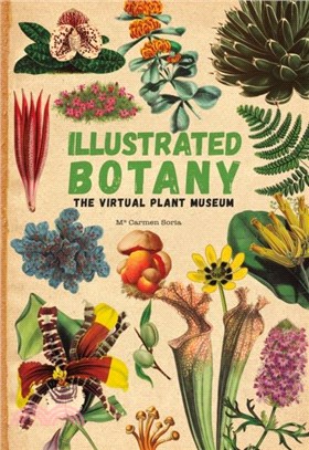 Illustrated Botany：The Virtual Plant Museum