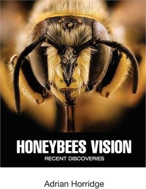 Honeybees Vision: Recent Discoveries