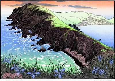 Point Reyes from Chimney Rock: 1000 Piece Jigsaw Puzzle