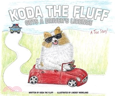 Koda the Fluff: Gets a Driver's license