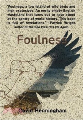 Foulness：a novel
