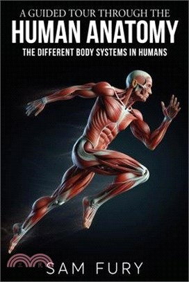 A Guided Tour Through the Human Anatomy: The Different Body Systems In Humans