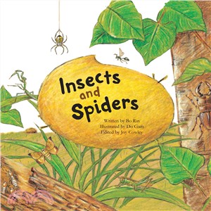 Insects and Spiders