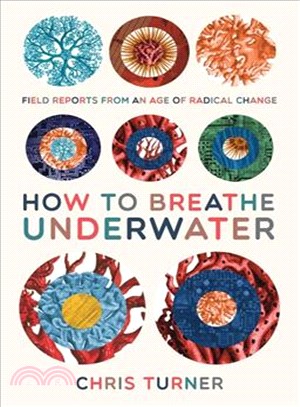 How to Breathe Underwater ─ Field Reports from an Age of Radical Change