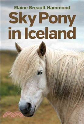 Sky Pony in Iceland