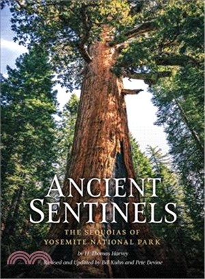 Ancient Sentinels ― The Sequoias of Yosemite National Park