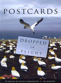 Postcards Dropped in Flight: In Praise of Avian Companions