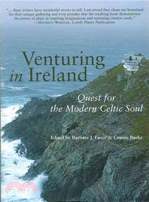 Venturing in Ireland―Quests for the Modern Celtic Soul
