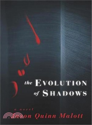 The Evolution of Shadows