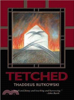 Tetched—A Novel in Fractals