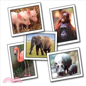 Favorite Animals