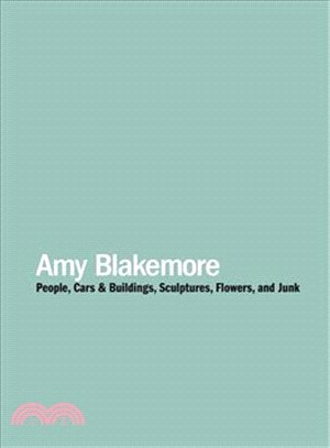 Amy Blakemore ― People, Cars and Buildings, Sculptures, Flowers, and Junk