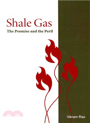 Shale Gas ― The Promise and the Peril