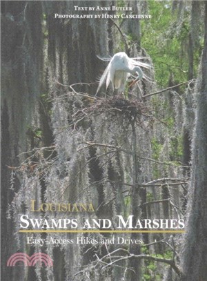 Louisiana Swamps and Marshes ─ Easy-Access Hikes and Drives