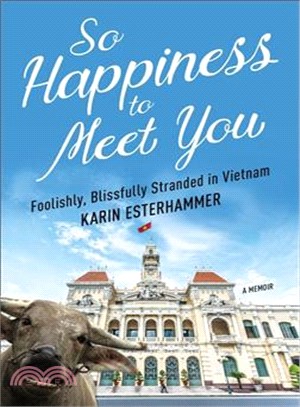 So Happiness to Meet You ― Foolishly, Blissfully Stranded in Vietnam