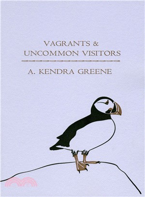 Vagrants & Uncommon Visitors