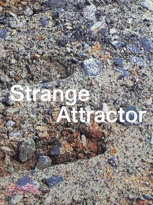 Strange Attractor