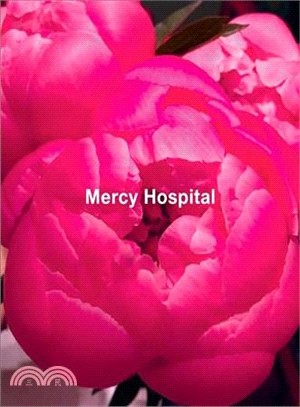 Ida Applebroog ― Mercy Hospital