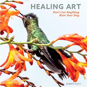 Healing Art ─ Don't Let Anything Ruin Your Day