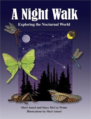 A Night Walk: Exploring the Nocturnal World