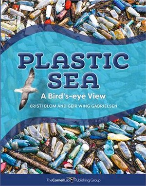 Plastic Sea ― A Bird's-eye View